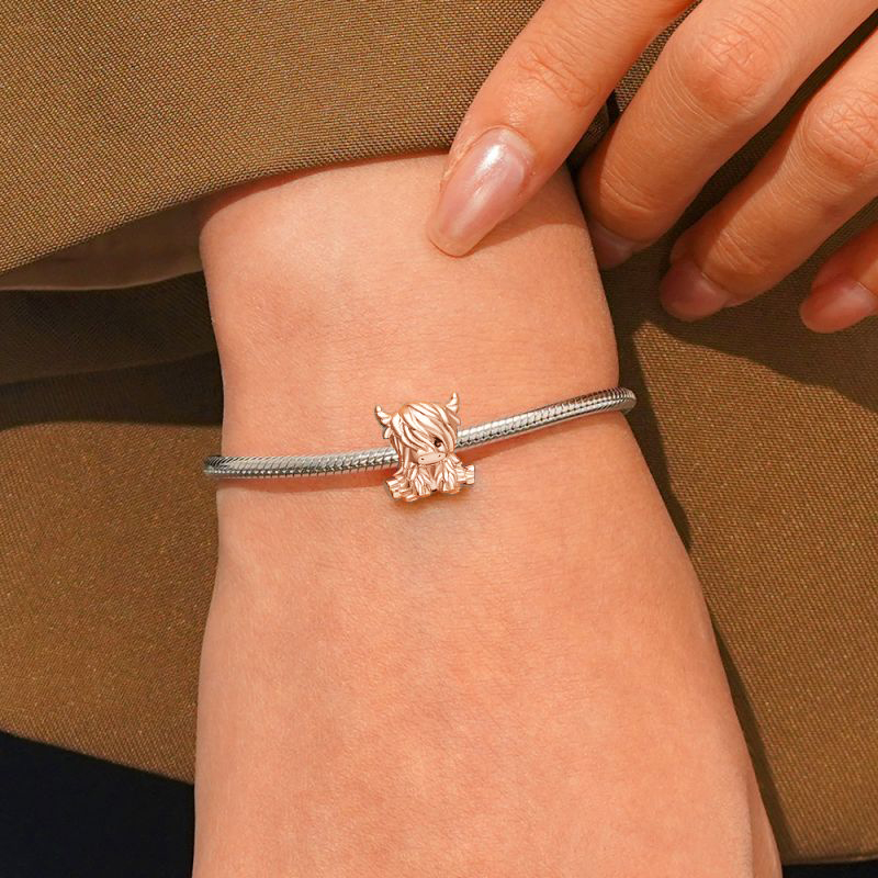 เสน่ห์วัวไฮแลนด์สก็อตแลนด์โรสโกลด์ image number 4