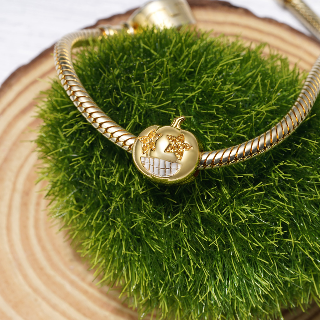 เสน่ห์ตาดาวฟักทอง image number 2