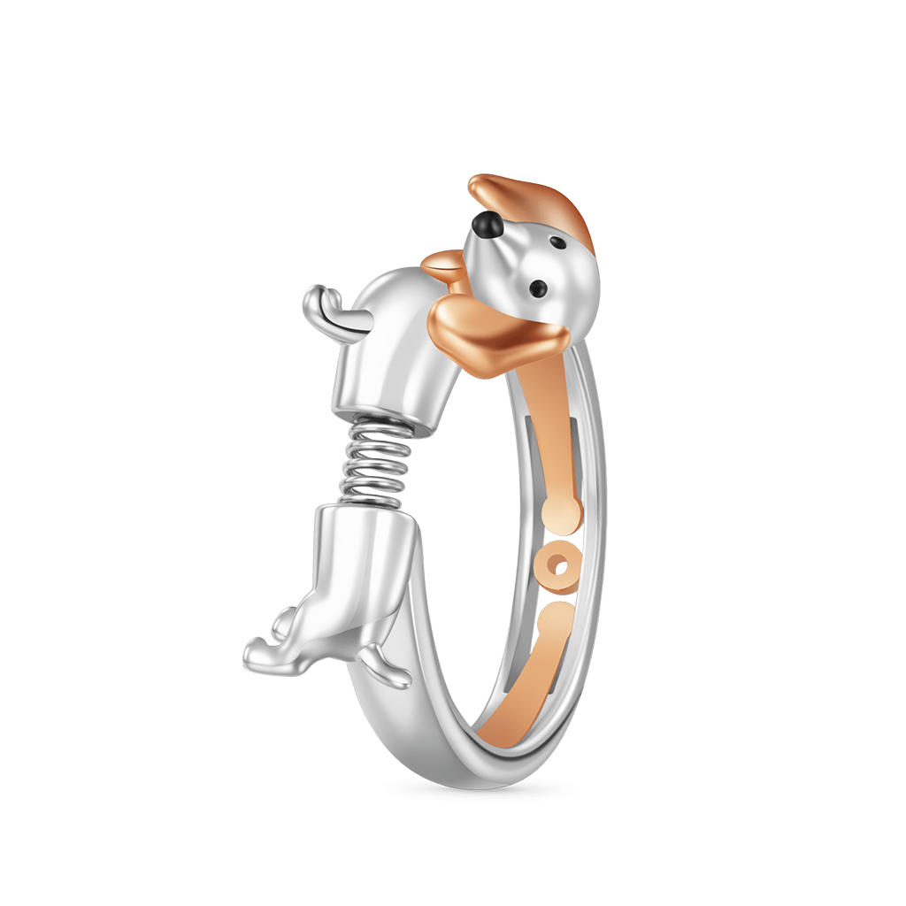 แหวนดัชชุนด์ลายสปริง image number 1