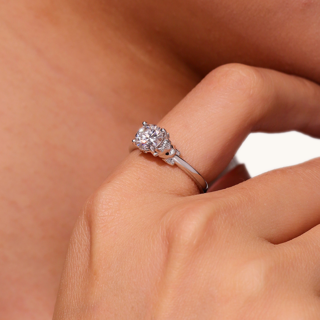 แหวนวัวไฮแลนด์ image number 8