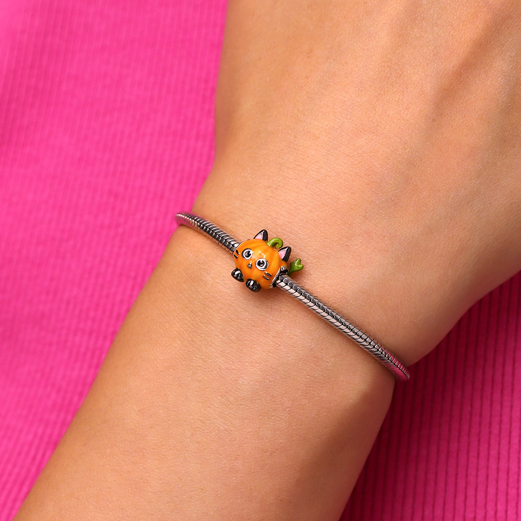 ฟักทองดําแมวจี้ image number 1