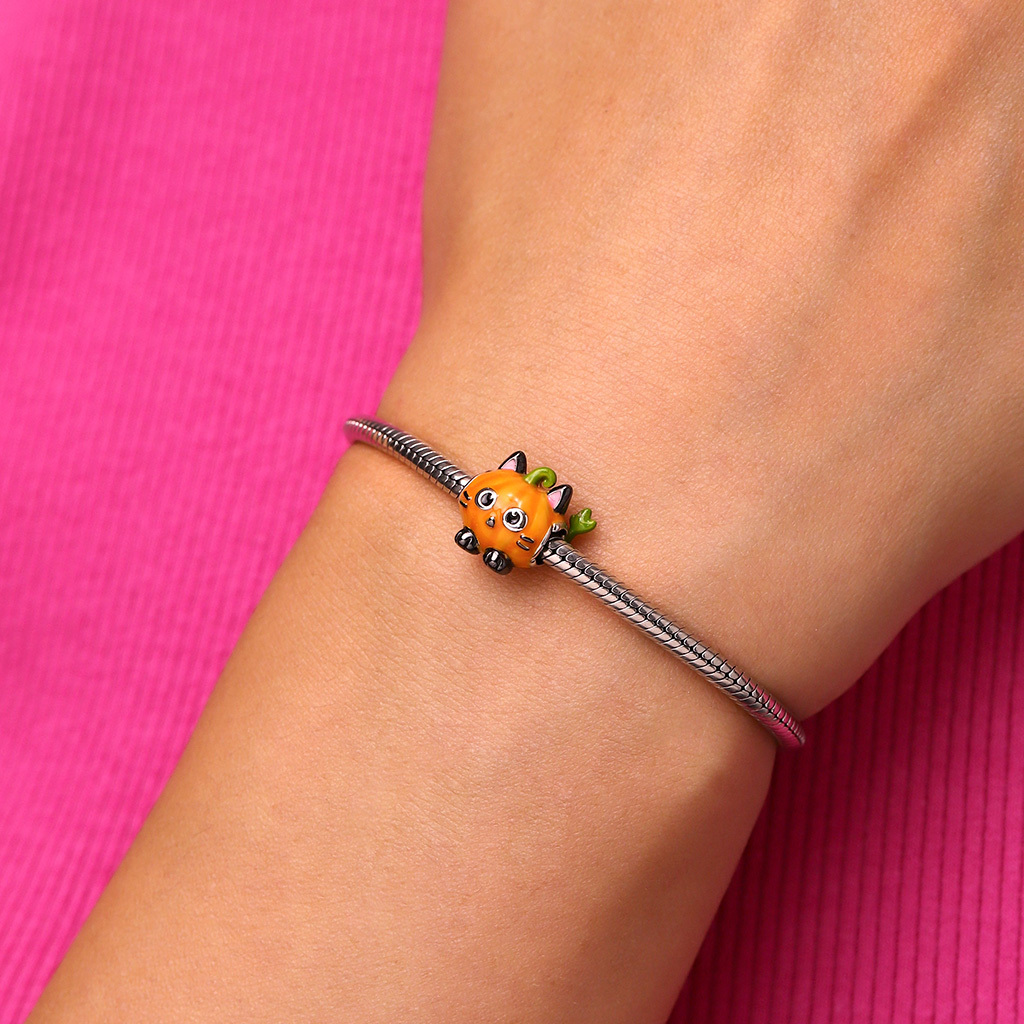 ฟักทองดําแมวจี้ image number 1