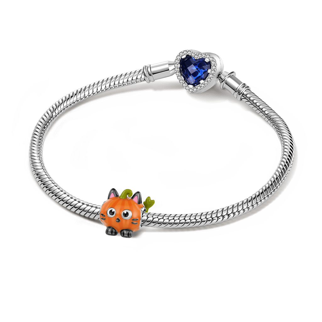 ฟักทองดําแมวจี้ image number 2