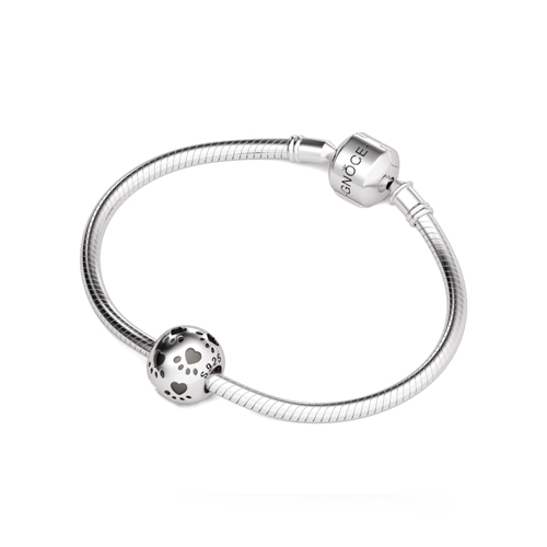 รอยเท้าสัตว์เลี้ยง image number 2