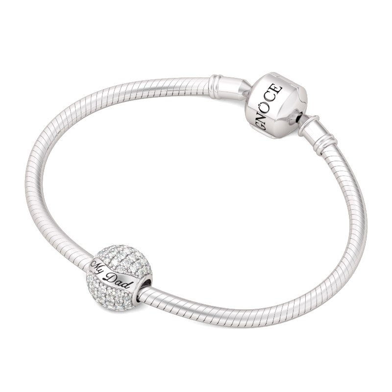 เสน่ห์ของพ่อฉัน image number 2