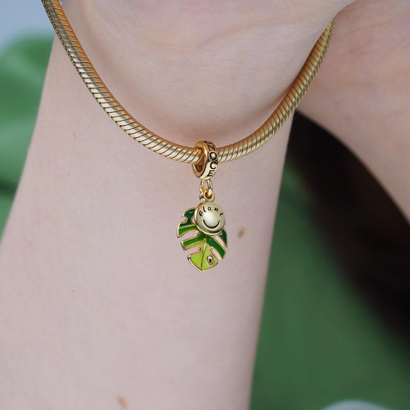 Monstera Deliciosa Liebm image number 2