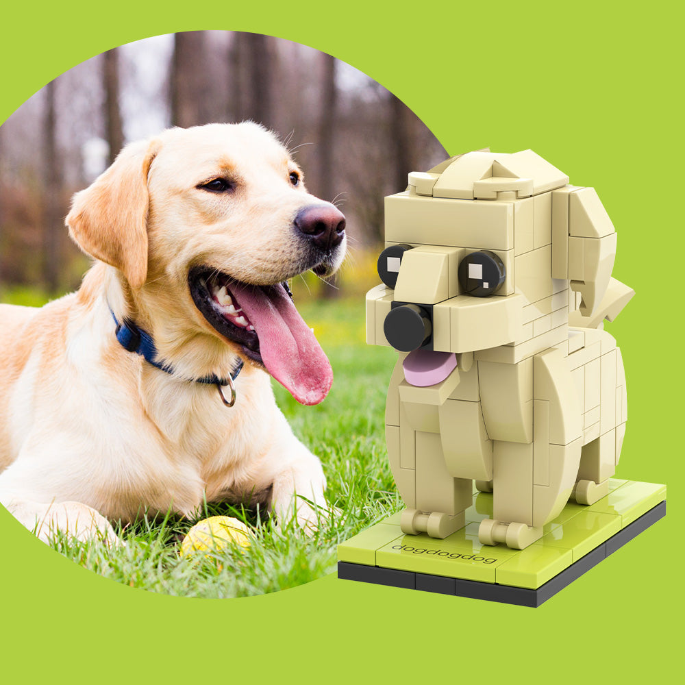 Labrador personalizable de cuerpo completo, 1 perro, figura de ladrillo personalizada con foto, bloque de partículas pequeñas, figuras de ladrillo, solo Labrador personalizado
