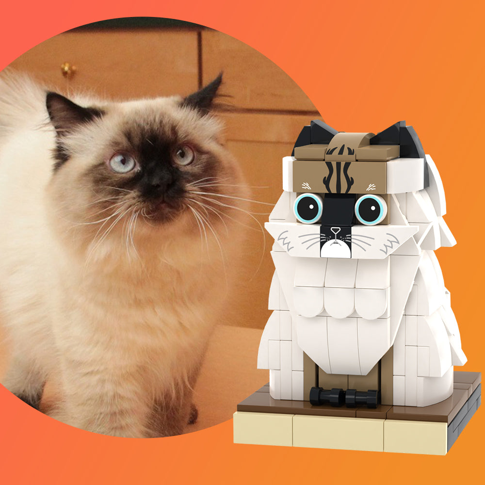 Figura de ladrillo para mascotas personalizada, cuerpo completo, personalizable, 1 foto de gato, figuras de ladrillo, gato personalizado únicamente