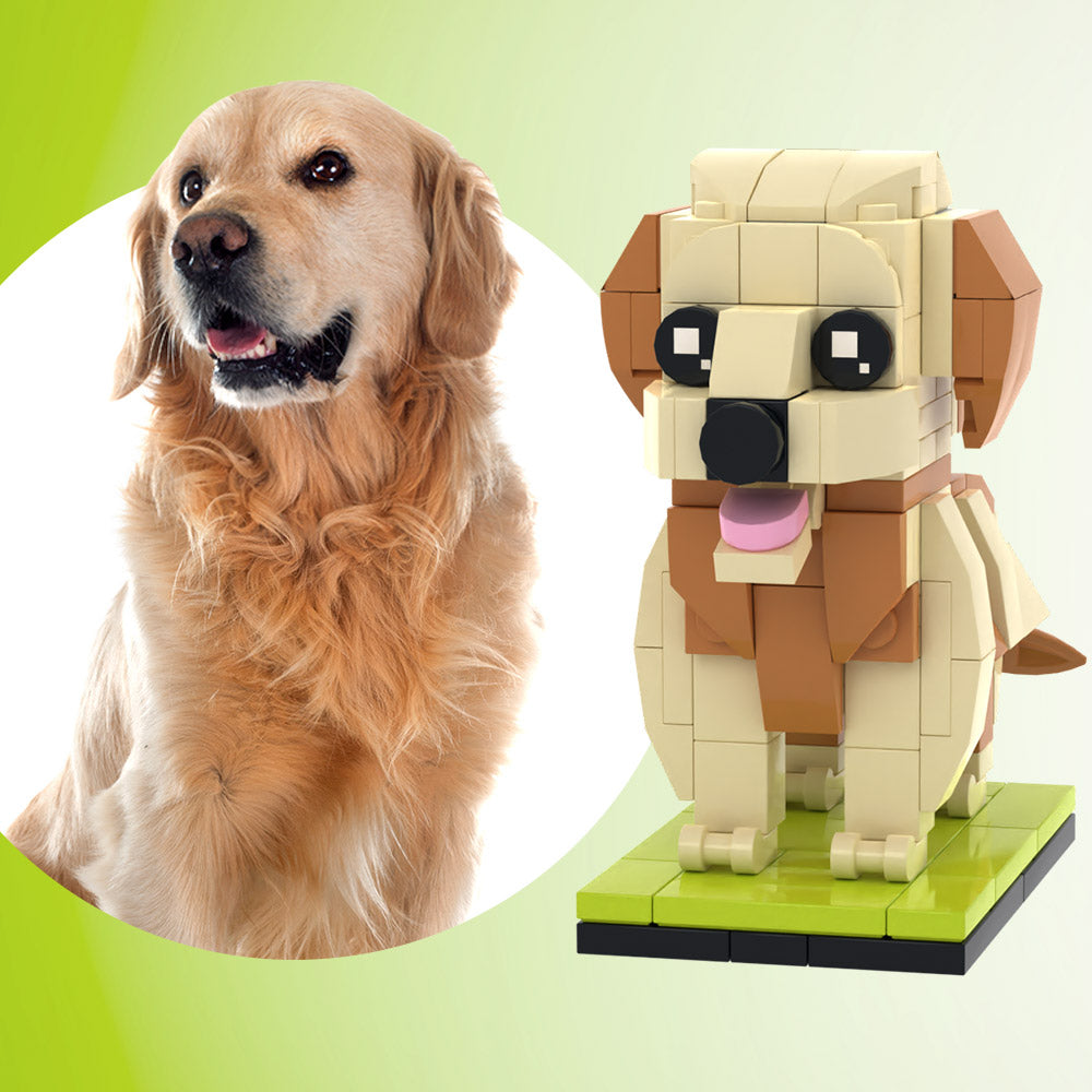 Golden Retriever personalizable de cuerpo completo 1 Foto de perro Figuras de ladrillo personalizadas Bloque de partículas pequeñas Figuras de Brick Me Personalizadas Solo Golden Retriever