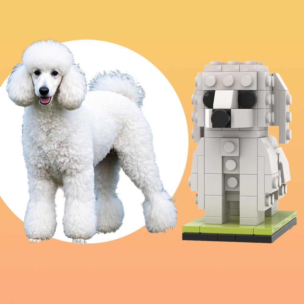 Caniche gigante personalizable de cuerpo completo 1 Foto de perro Figuras de ladrillo personalizadas Bloque de partículas pequeñas Figuras de Brick Me Caniche gigante personalizado únicamente