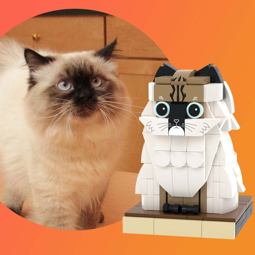 Figura in mattoni per animali domestici personalizzata Completamente personalizzabile con 1 gatto Giocattoli Personalizzati in Mattoni  con foto Solo gatti personalizzati