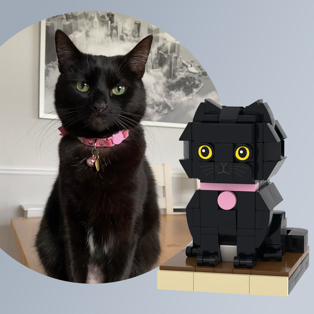 Benutzerdefinierte schwarze Katzen-Steinfiguren, vollständig anpassbar, 1 Katzenfoto, kleiner Partikelblock, individuell angepasst, nur Katze