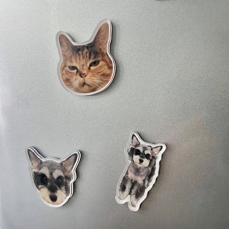 Personalisierte Haustier-foto-acryl-kühlschrankmagnete, Individuelles Bild-andenken - 