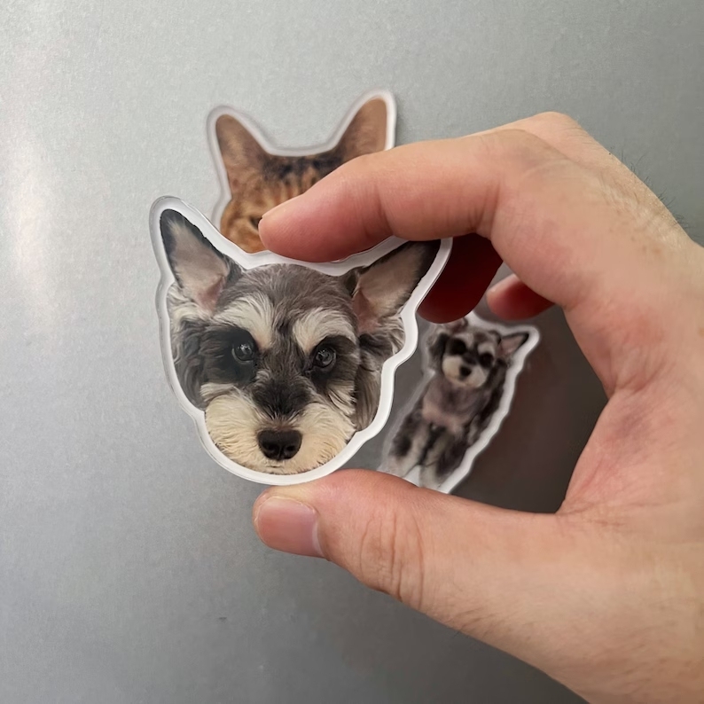 Personalisierte Haustier-foto-acryl-kühlschrankmagnete, Individuelles Bild-andenken - 