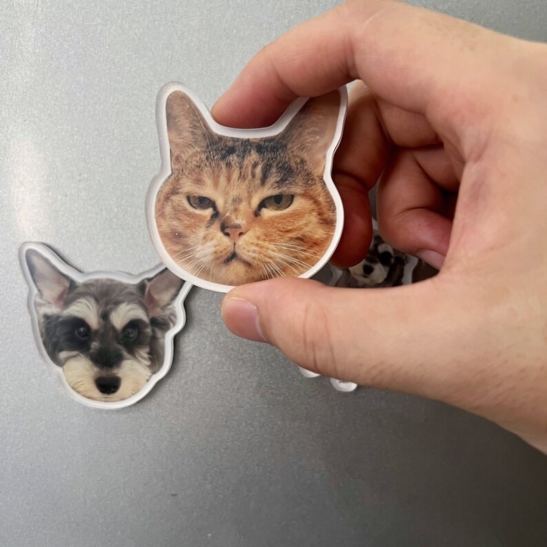Personalisierte Haustier-foto-acryl-kühlschrankmagnete, Individuelles Bild-andenken - 