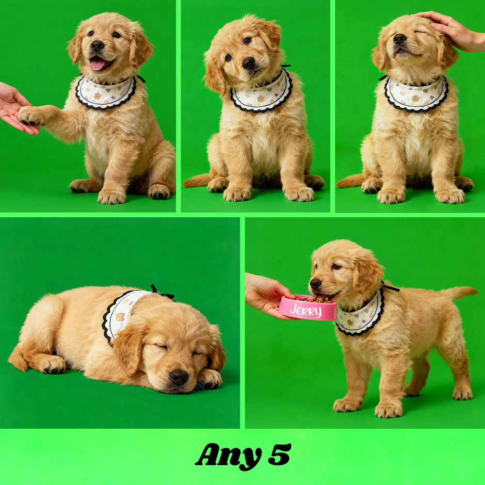 Holographic Digital Sensory Video of Pet (Digital File via Email · 10s/Scene) - MyJigsawPuzzleAu