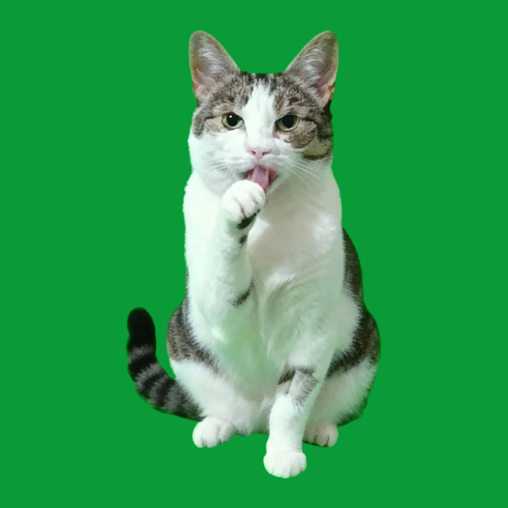 (in 40s&60s vidio)Licking Paws Scene - MyJigsawPuzzleAu
