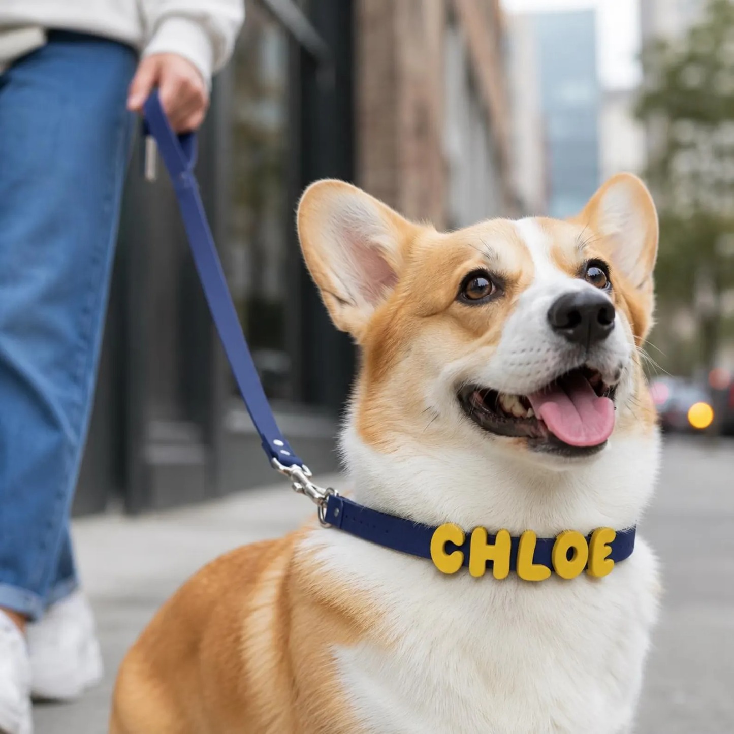 Personalized Waterproof Silicone Pet Collar Replaceable Letter Charms Pet Collar & Leash Set Easy to Clean Outdoor Pet Supplies - MyJigsawPuzzleAu
