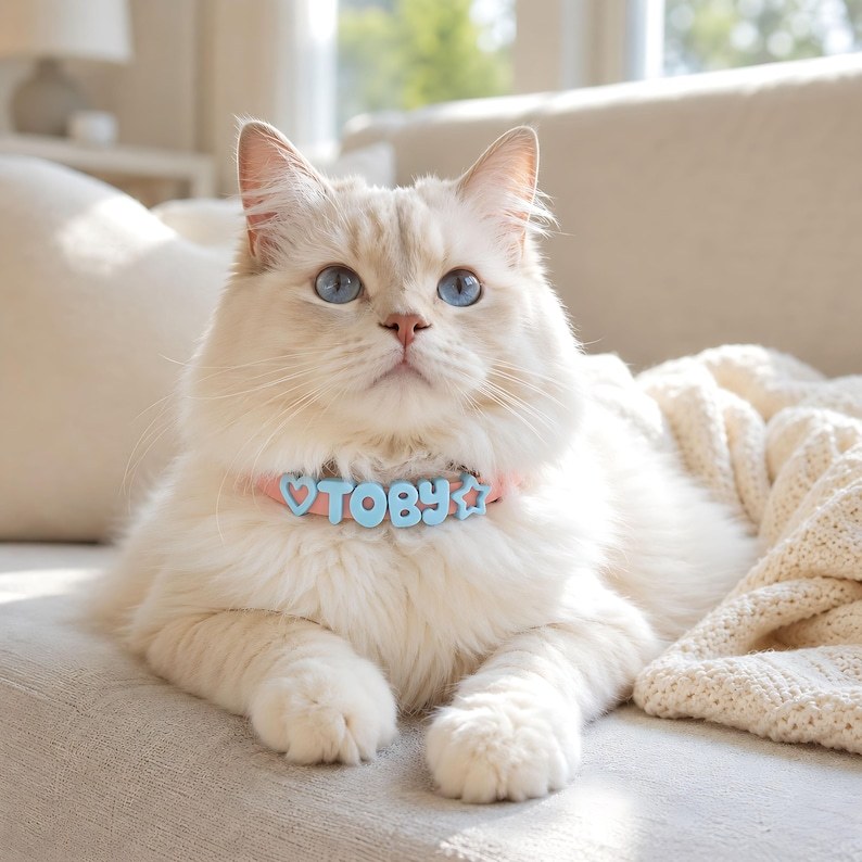 Personalized Waterproof Silicone Pet Collar Replaceable Letter Charms Pet Collar & Leash Set Easy to Clean Outdoor Pet Supplies - MyJigsawPuzzleAu
