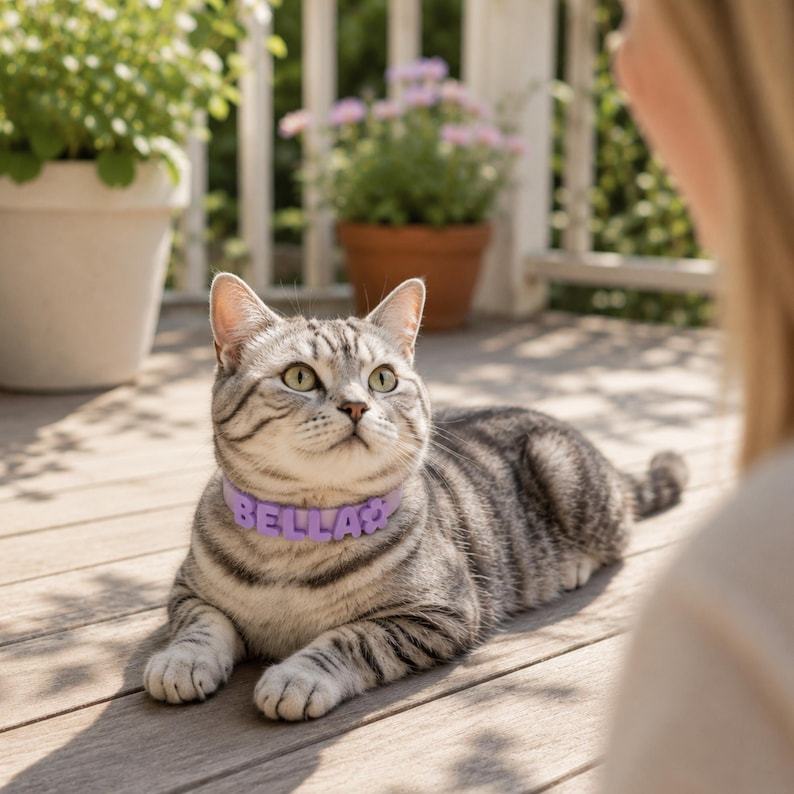 Personalized Waterproof Silicone Pet Collar Replaceable Letter Charms Pet Collar & Leash Set Easy to Clean Outdoor Pet Supplies - MyJigsawPuzzleAu
