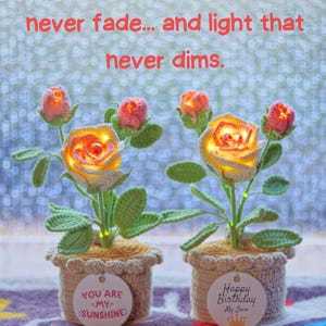 Crochet Rose Night Light Potted Plant Handmade Yarn Flower Gift for Home Decor - MyJigsawPuzzleAu