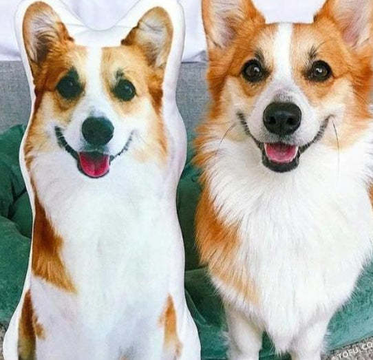 Custom Stuffed Animals CustomDog Face Pillow Pet Lover Gifts Pet Pillow - makephotopuzzleuk
