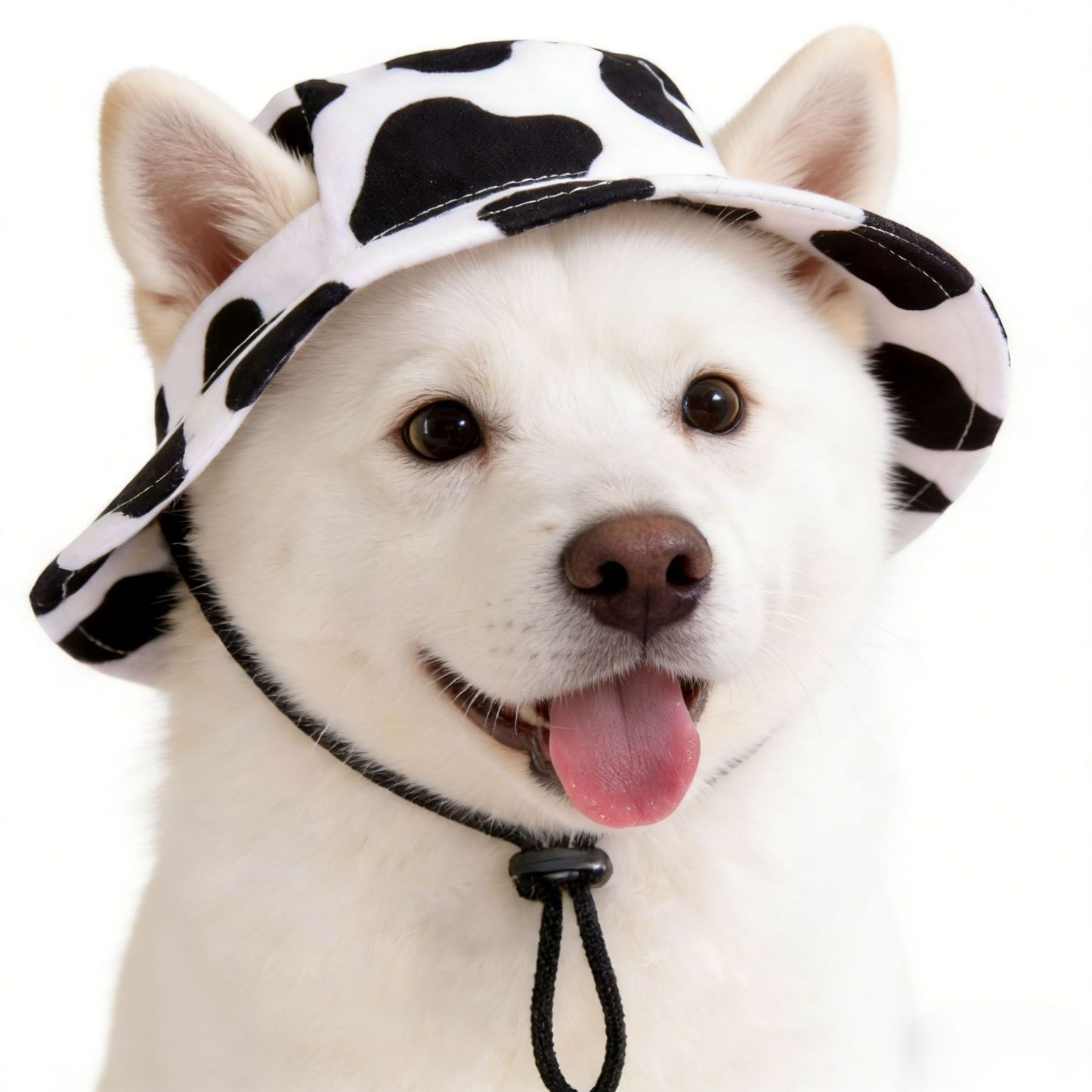 Pet Matching Bucket Hat for Pet Lovers, Dog & Cat Summer Hat Cute Ears Shade Sun Hat for Puppy - makephotopuzzleuk