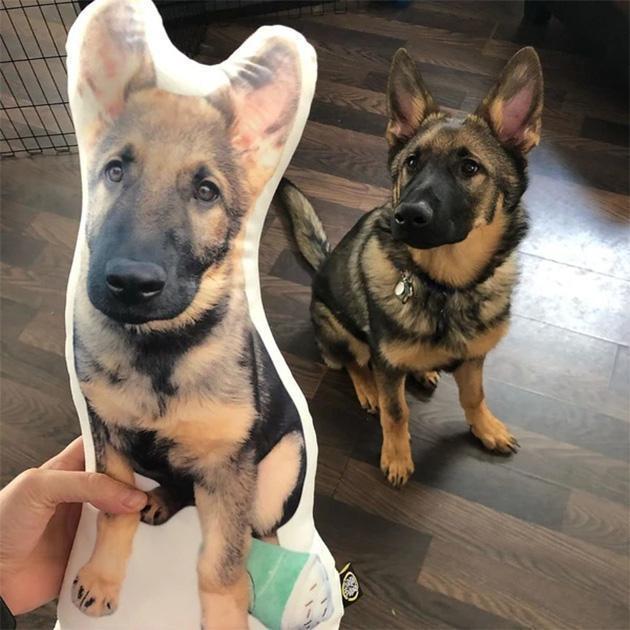 Custom Dog Pillow Personalized Pet Photo Pillow Dog Portrait Pillow Cat Pillow Dog Photo Pillow Dog Face Pillow Dog Memorial Gift Dog Picture Pillow - makephotopuzzleuk