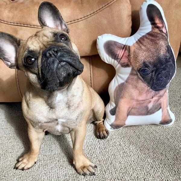 Custom Dog Pillow Personalized Pet Photo Pillow Dog Portrait Pillow Cat Pillow Dog Photo Pillow Dog Face Pillow Dog Memorial Gift Dog Picture Pillow - makephotopuzzleuk