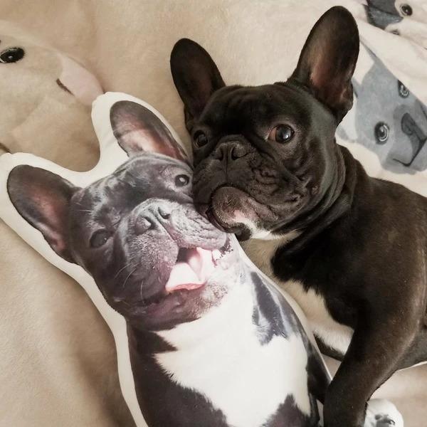 Custom Dog Pillow Personalized Pet Photo Pillow Dog Portrait Pillow Cat Pillow Dog Photo Pillow Dog Face Pillow Dog Memorial Gift Dog Picture Pillow - makephotopuzzleuk