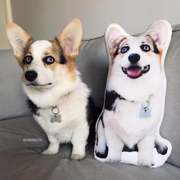 Custom Dog Pillow Personalized Pet Photo Pillow Dog Portrait Pillow Cat Pillow Dog Photo Pillow Dog Face Pillow Dog Memorial Gift Dog Picture Pillow - makephotopuzzleuk