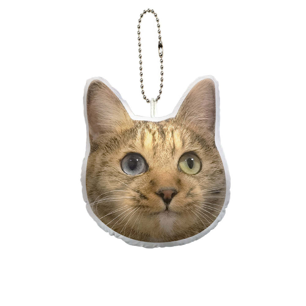 Custom Pet Face Mini Plush Hanging Ornaments with Voice Decorations for Christmas Gifts - Get Photo Blanket