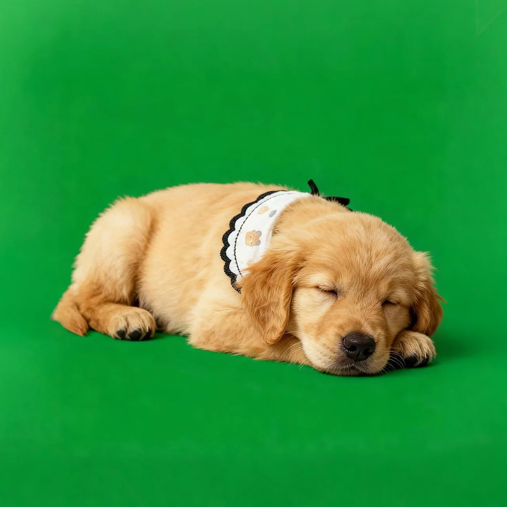 Holographic Digital Sences For Pet Holographic Digital House(Only Digital Sences Video by E-mail; Pet House Need to be purchased separately)