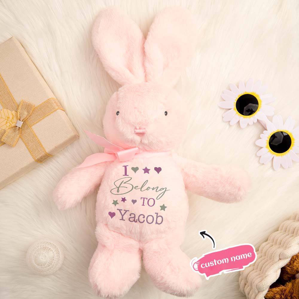 Personalized Bunny Rabbit Plush Stuffed Toy Gift for Children - mysiliconefoodbag