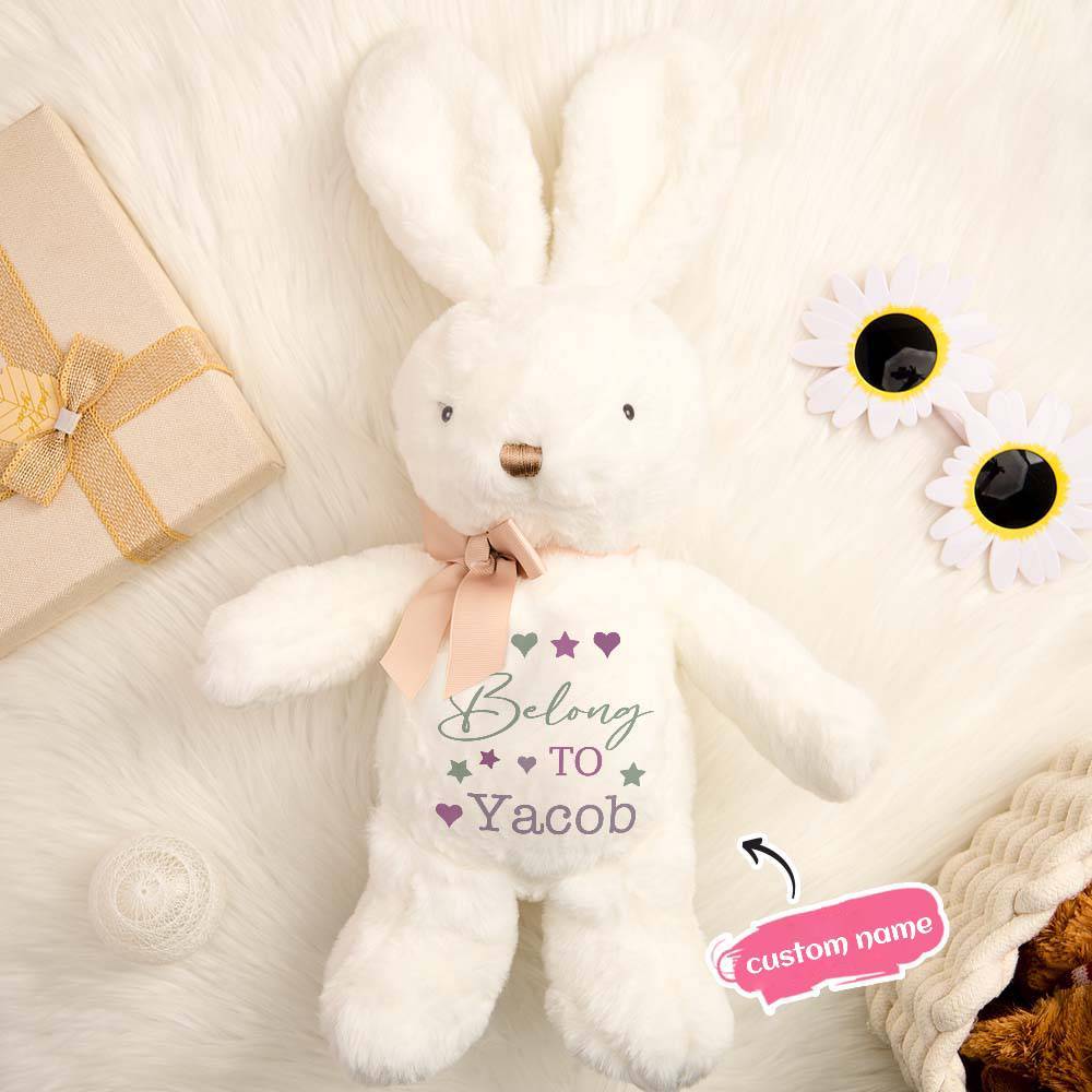 Personalized Bunny Rabbit Plush Stuffed Toy Gift for Children - mysiliconefoodbag