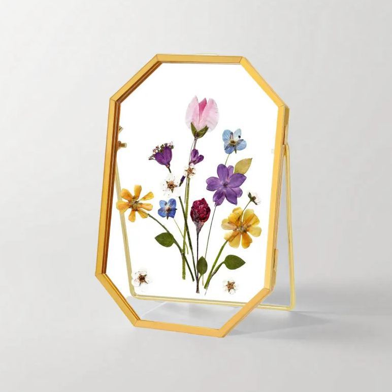 Pressed Flowers Double Multi Style Glass Frame For Plant Bouquet Specimen Tabletop Display(FRAME ONLY)