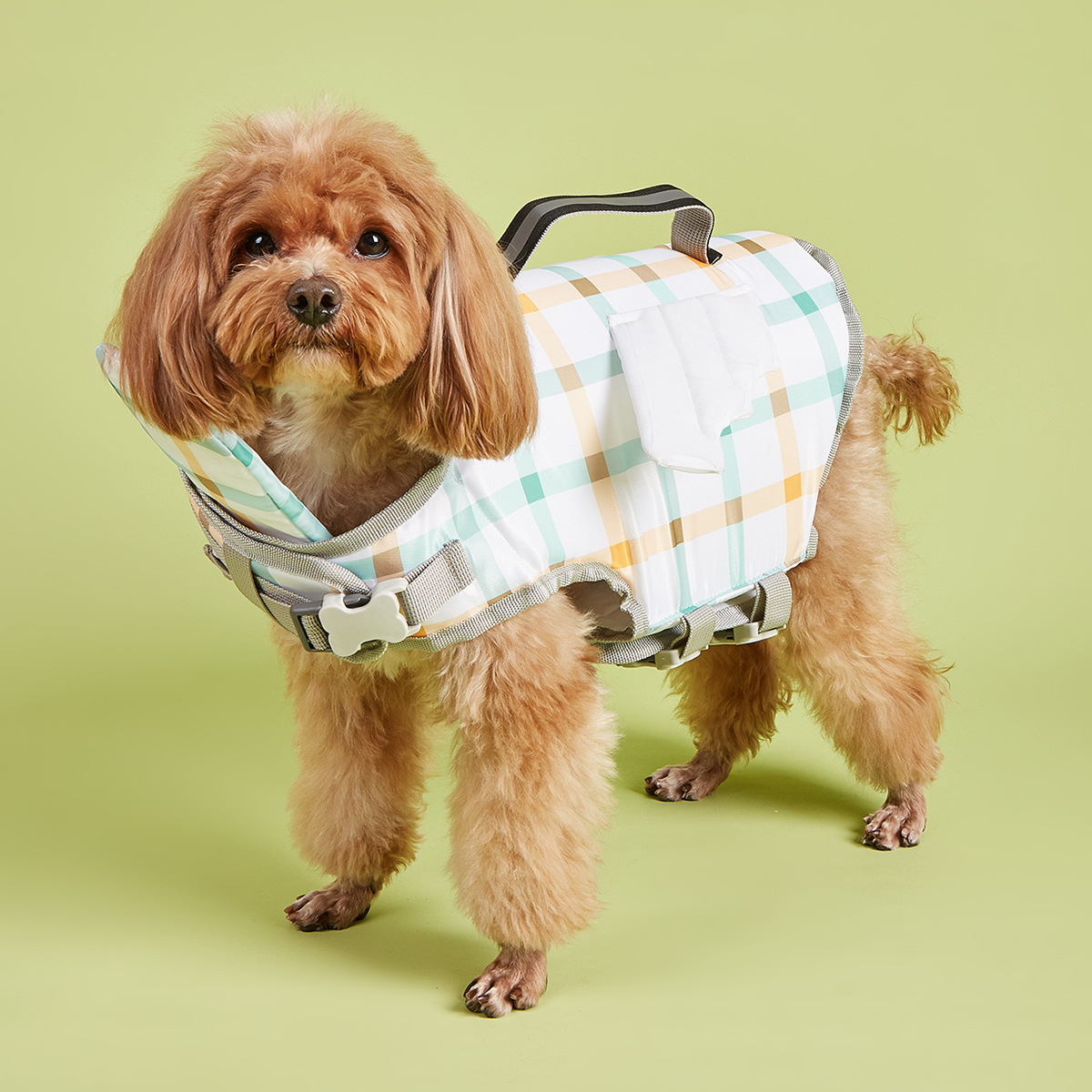 Dog Life Jacket Safety Buoyancy Swimming Vest Water Play Float Coat