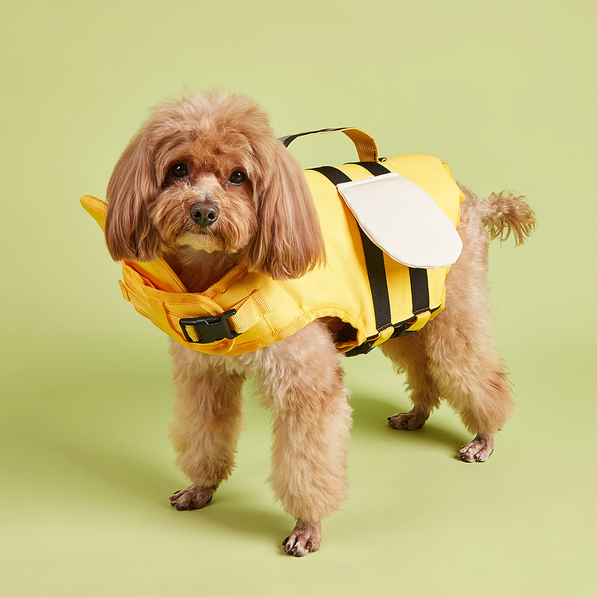 Dog Life Jacket Safety Buoyancy Swimming Vest Water Play Float Coat