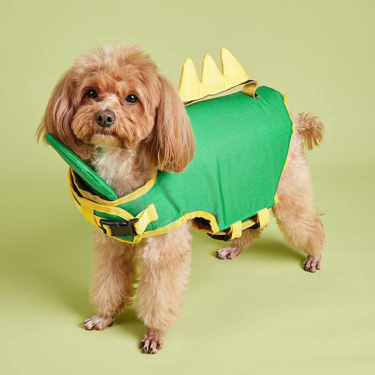 Dog Life Jacket Safety Buoyancy Swimming Vest Water Play Float Coat