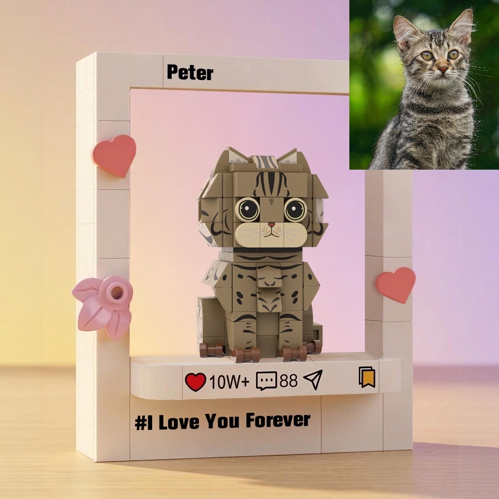 Personalized  Fully Body Brick Figure with Engrave Text Frame