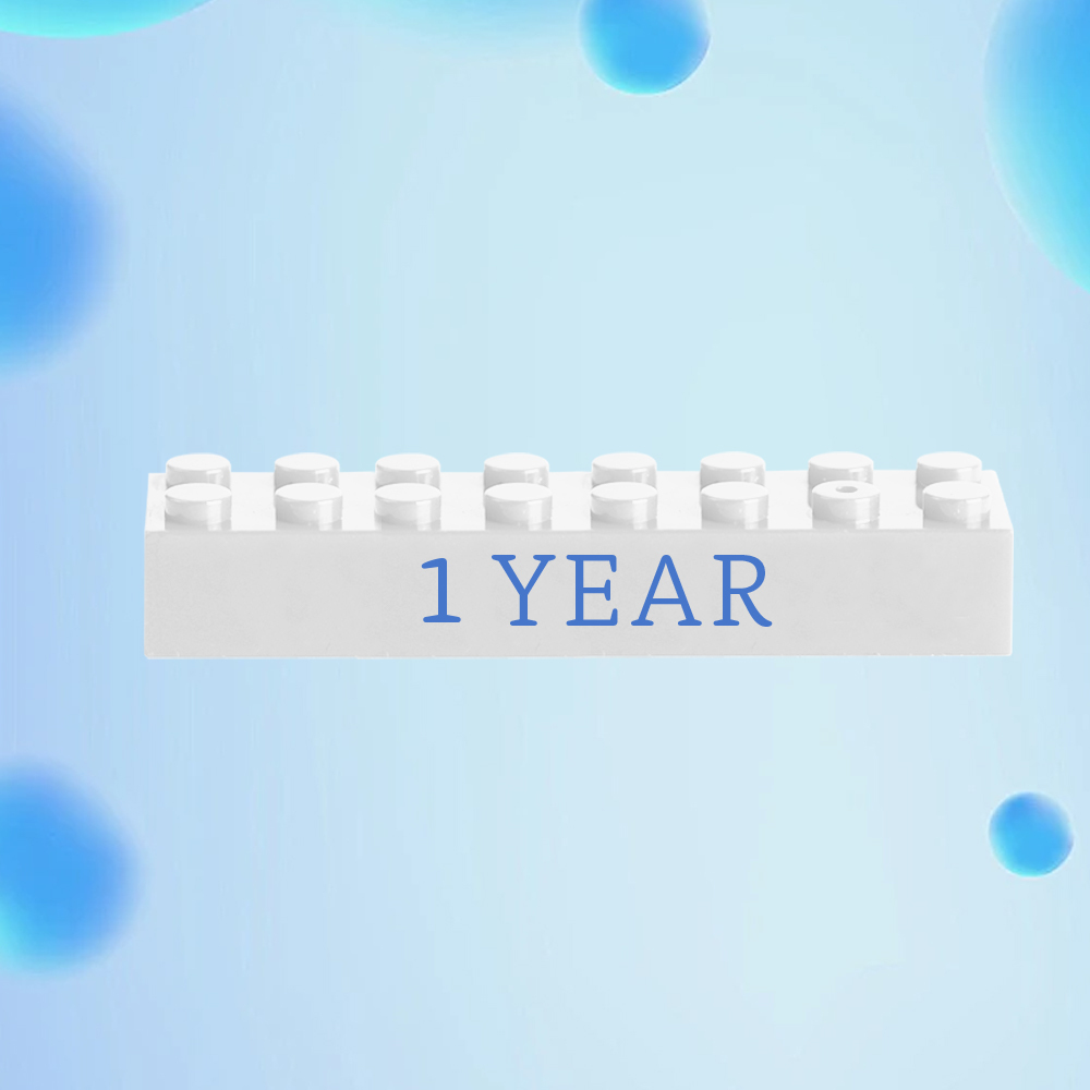 Building Block Gifts Custom Text Induction Gift Company Age Building Blocks Multi-Color Different Size Building Block Gifts