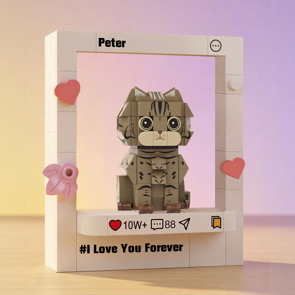 Personalized  Fully Body Brick Figure with Engrave Text Frame