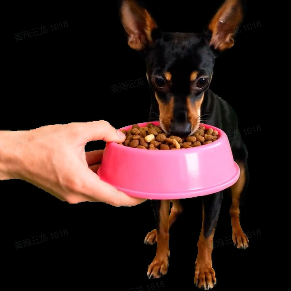 Pet Holographic Digital House | Pet Memorial Ornaments | High-Transmittance Holographic Material Image DIY Pet Holographic House - 