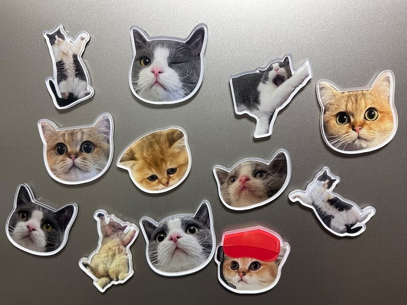 Personalized Pet Photo Acrylic Fridge Magnets Custom Image Keepsake - 