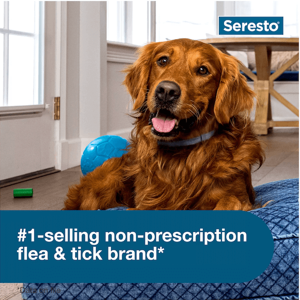 Flea and Tick Collars for Small and Large Dogs and Cats - Provides 8 Months of Protection and is Vet-Recommended