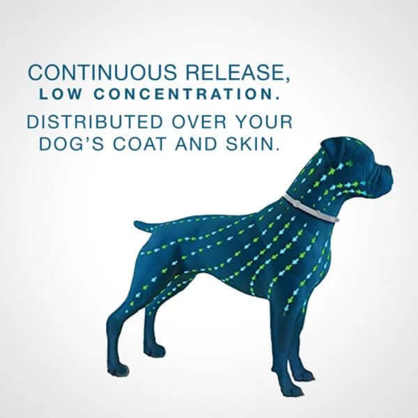 FLEA AND TICK COLLAR FOR SMALL DOGS 8 MONTH PROTECTION-Vet-Recommended