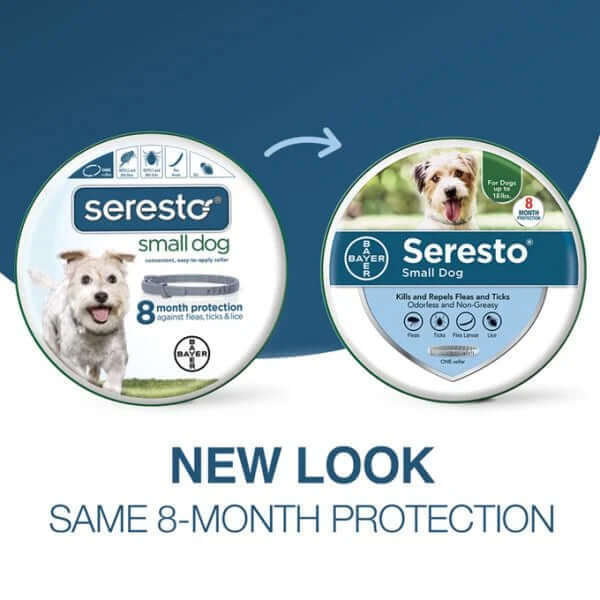 FLEA AND TICK COLLAR FOR SMALL DOGS 8 MONTH PROTECTION-Vet-Recommended