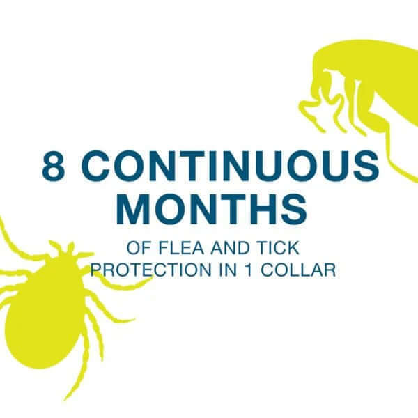 FLEA AND TICK COLLAR FOR LARGE DOGS 8 MONTH PROTECTION-Vet-Recommended