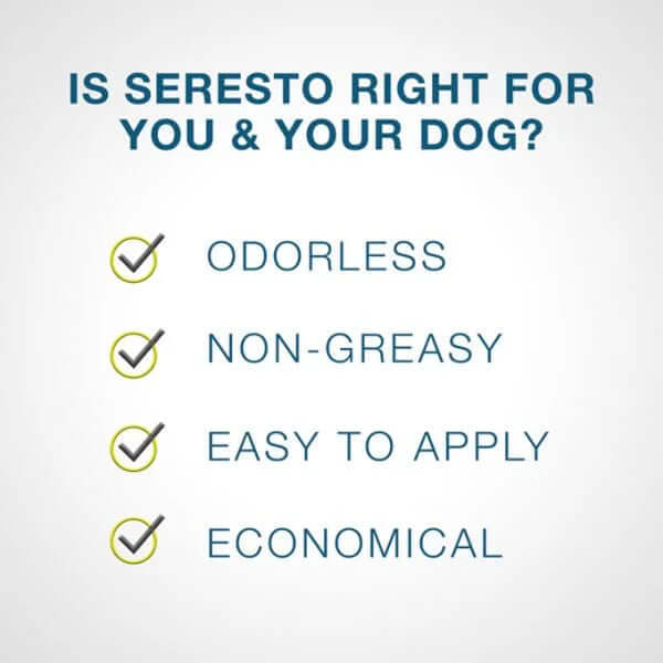 FLEA AND TICK COLLAR FOR LARGE DOGS 8 MONTH PROTECTION-Vet-Recommended