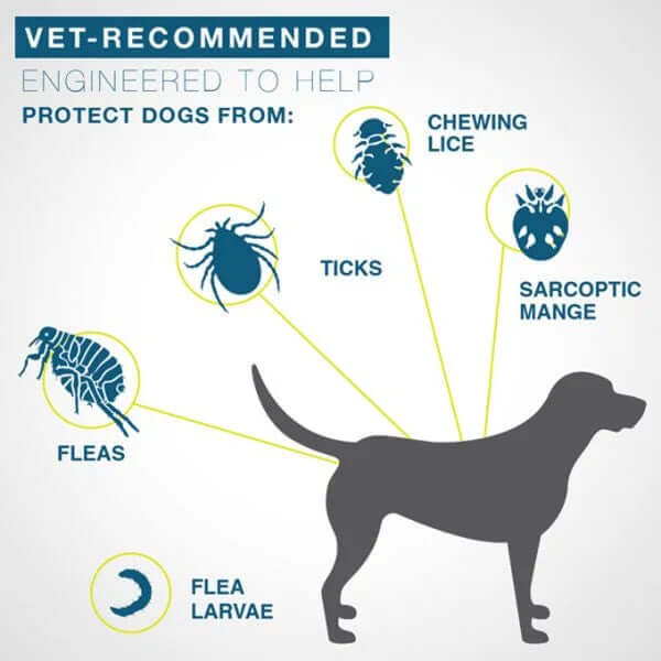 FLEA AND TICK COLLAR FOR LARGE DOGS 8 MONTH PROTECTION-Vet-Recommended